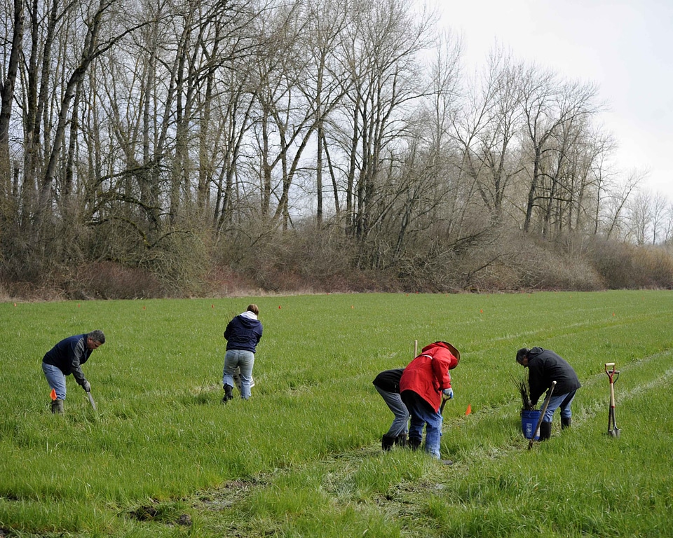 Bearing crops labor