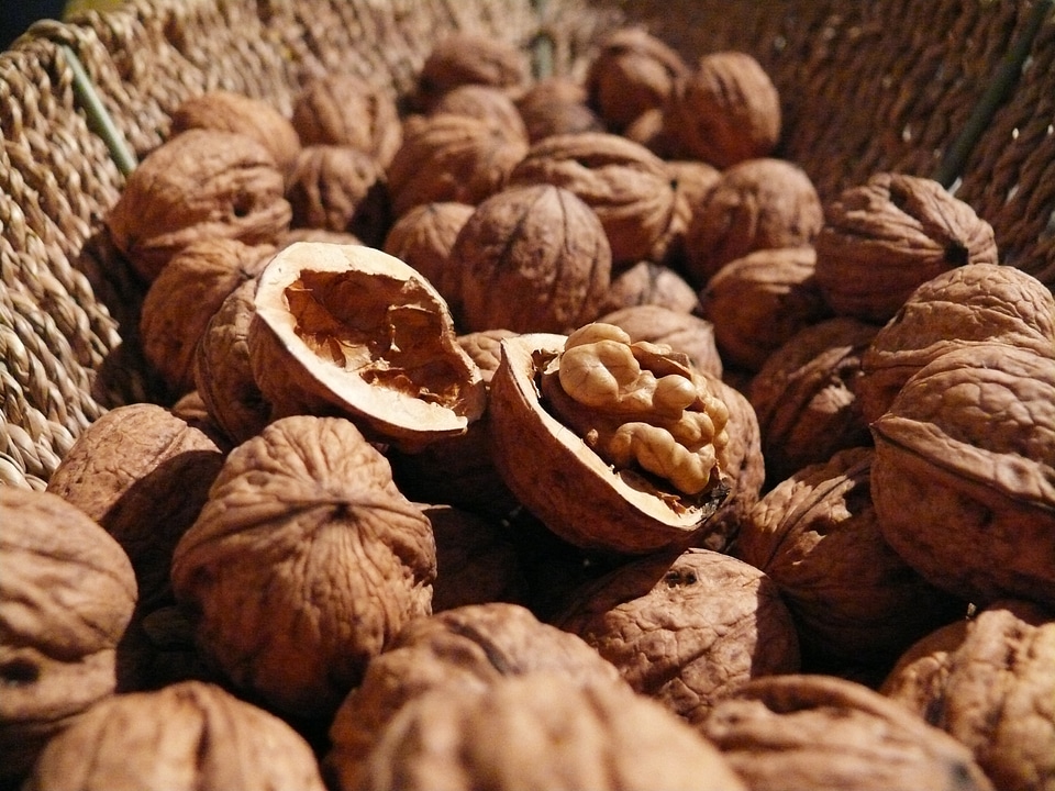 Healthy nut shell