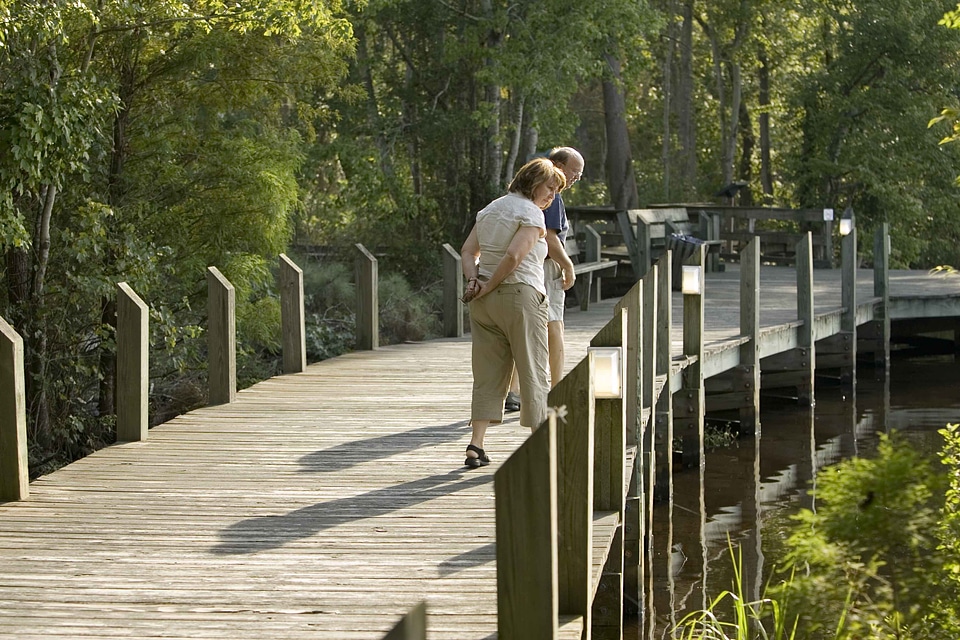 Boardwalk bridge husband