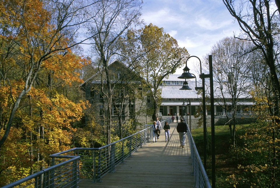 Autumn bridge cross section
