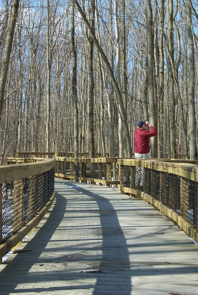 Bird bird watcher observer