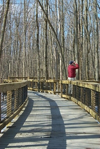 Bird bird watcher observer photo