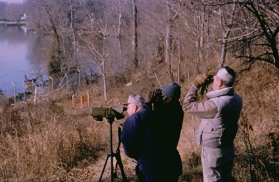 Domestic national park park
