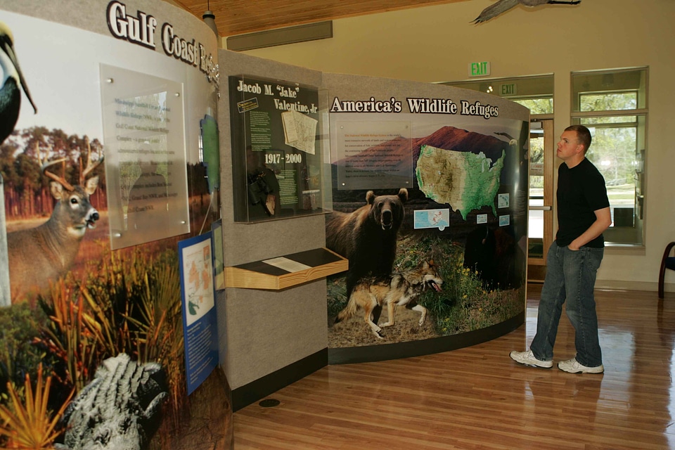 Exhibit refuge visitor