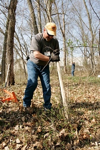 Forest labor plant