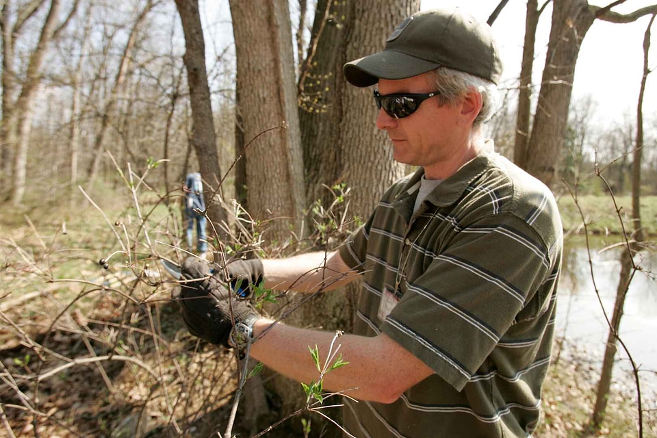 Forest husband labor