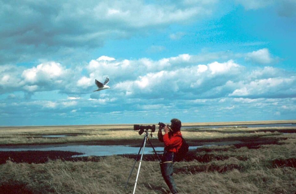 Animal nature photographer