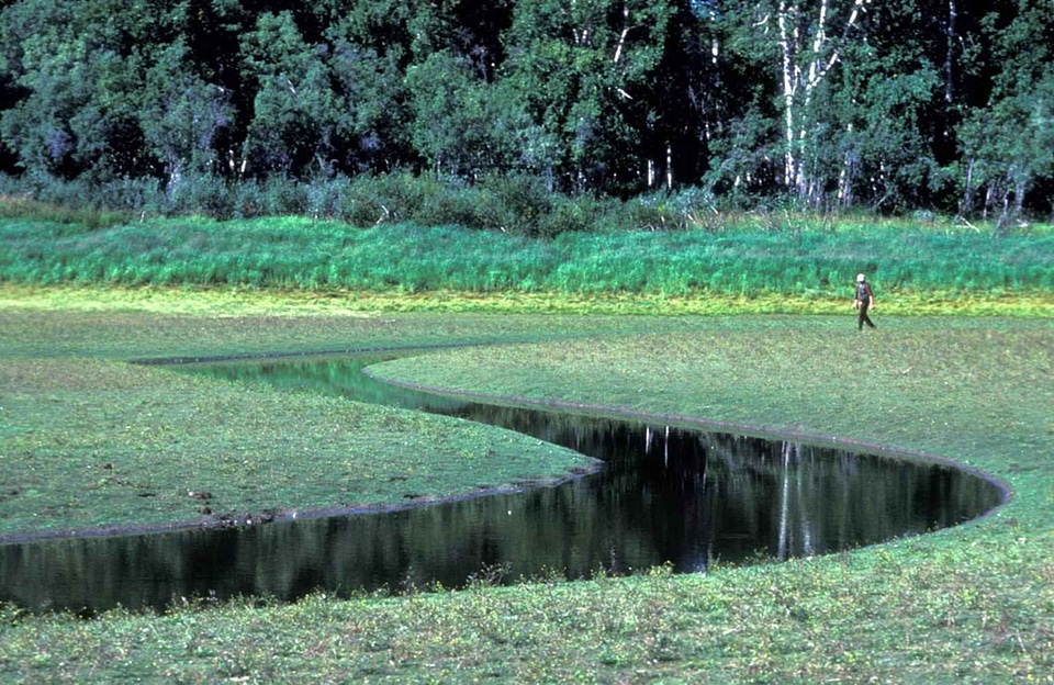Going husband marsh