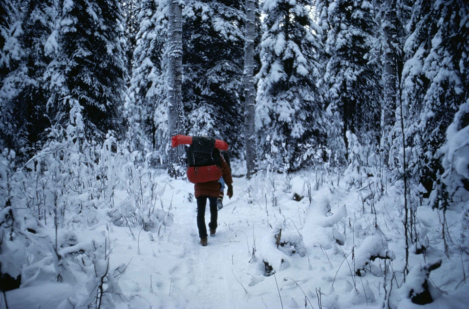 Forest going husband
