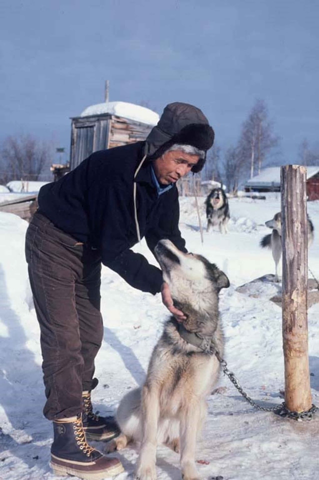 American dog sled husband