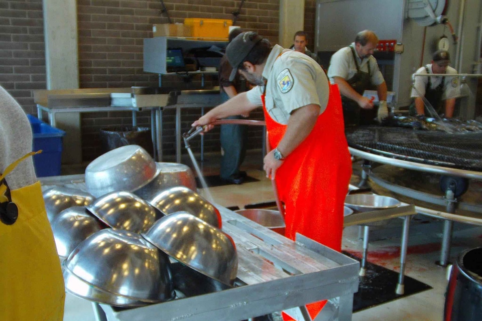 Cleaning equipment husband
