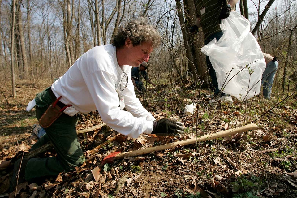 Forest husband labor