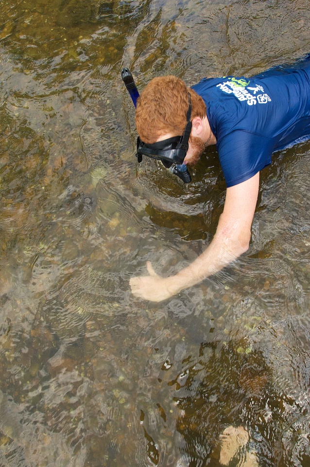 Diver diving water
