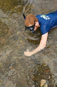 Diver diving water