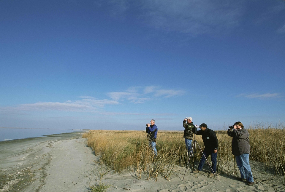 Group shoreline 