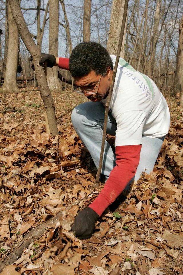 American forest husband