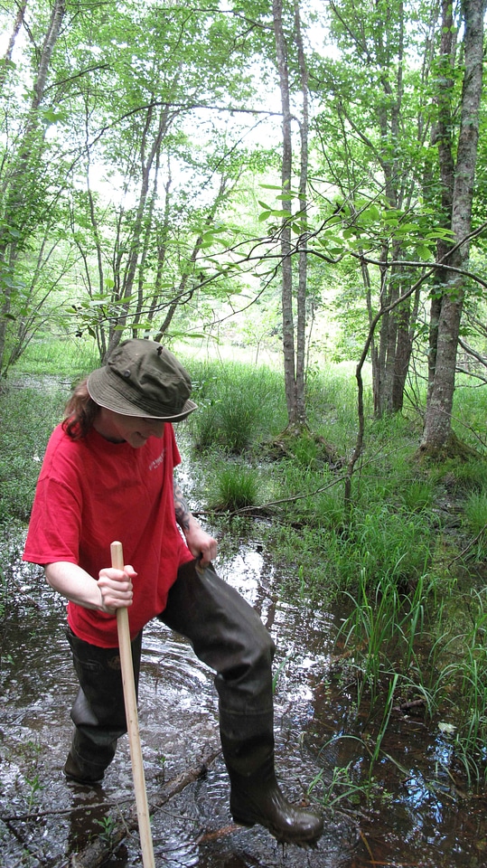 Female hat labor