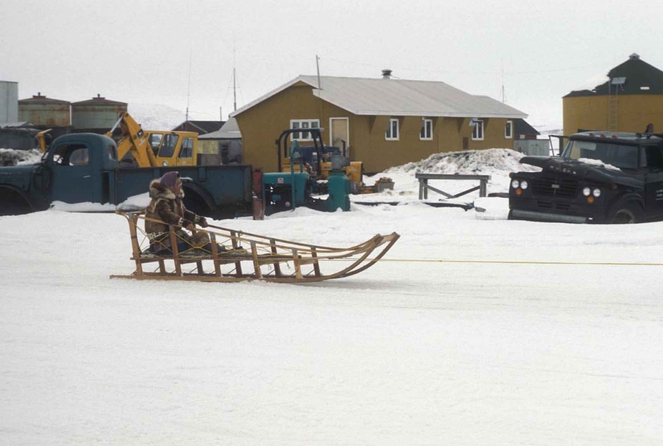 Dog Sled native snow