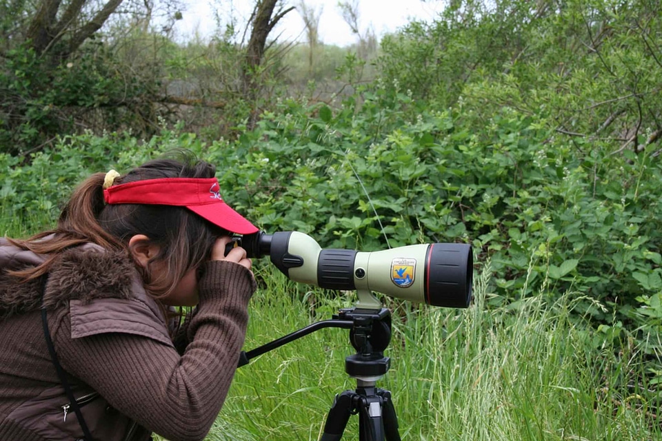 Camera lens photographer