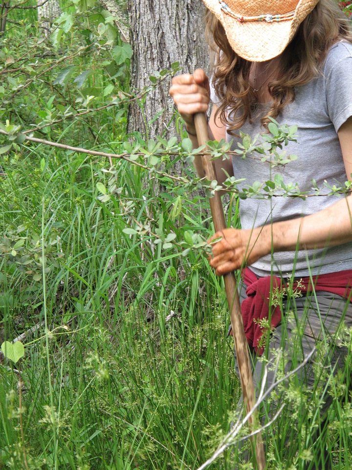 Female forest 