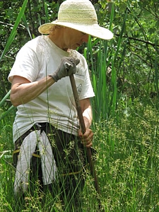 Female forest hat