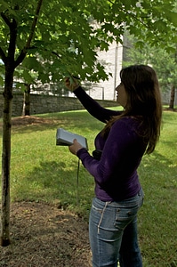Book female identification