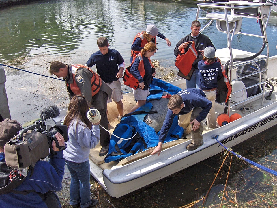 Crew film operation