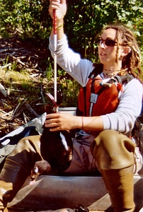 Male Melanitta americana technical