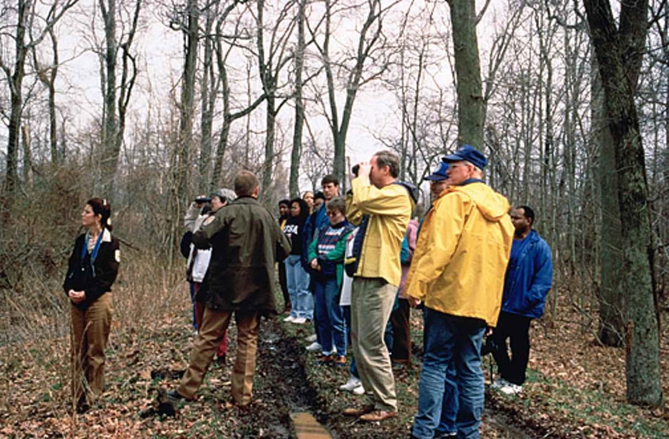 Forest people tour