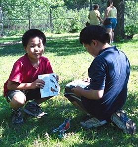 Asian bird boys photo