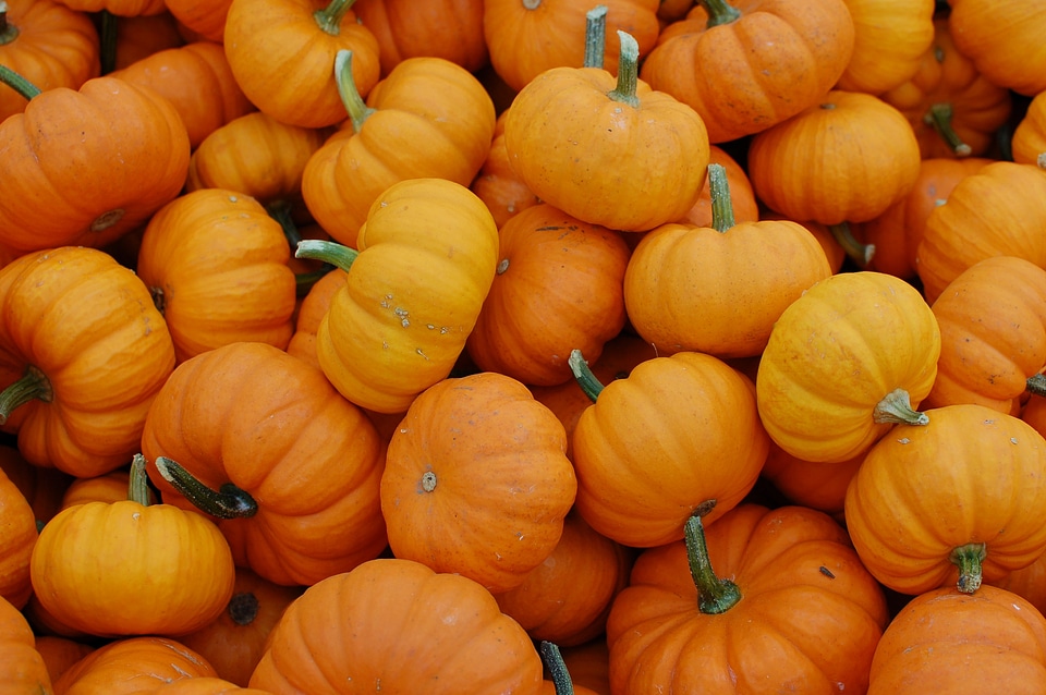 Vegetables orange halloween