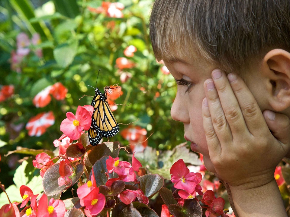 Beautiful Photo boy close