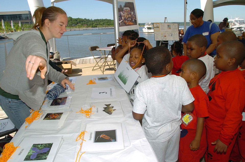 Babies fish fish species