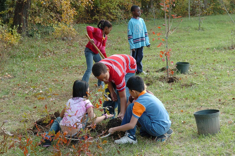 Babies plant trees