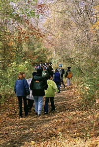 Babies education forest