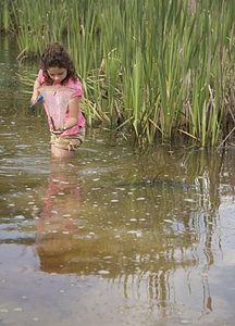 Baby lake 