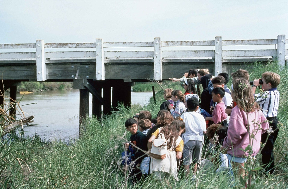 Babies bridge group