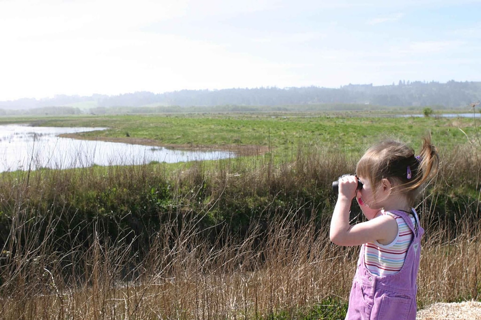Area female child marsh