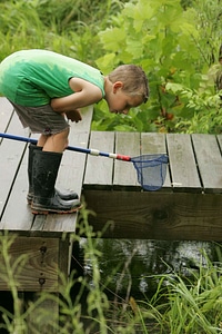 Boy looking water
