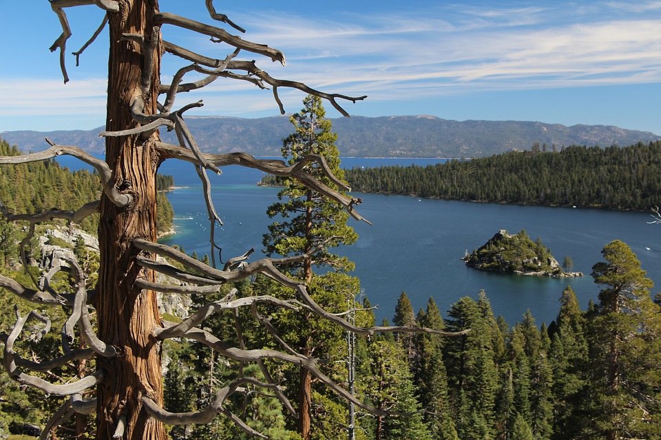 Lake island landscape