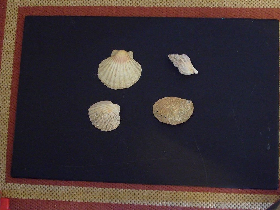 Object  