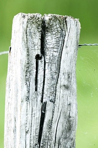 Ancient close detailed