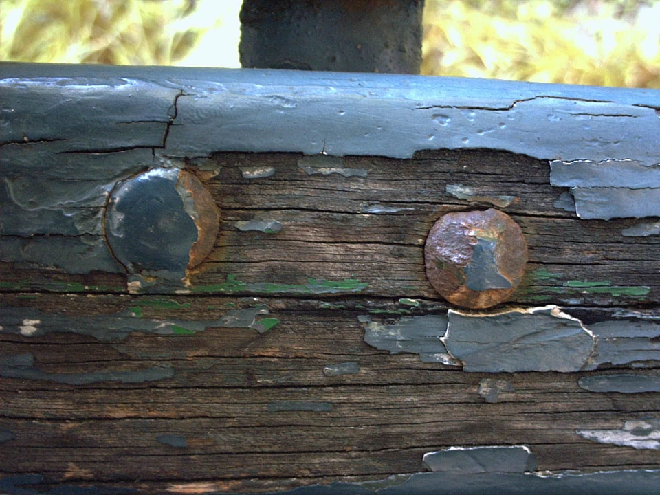 Ancient bank close-up
