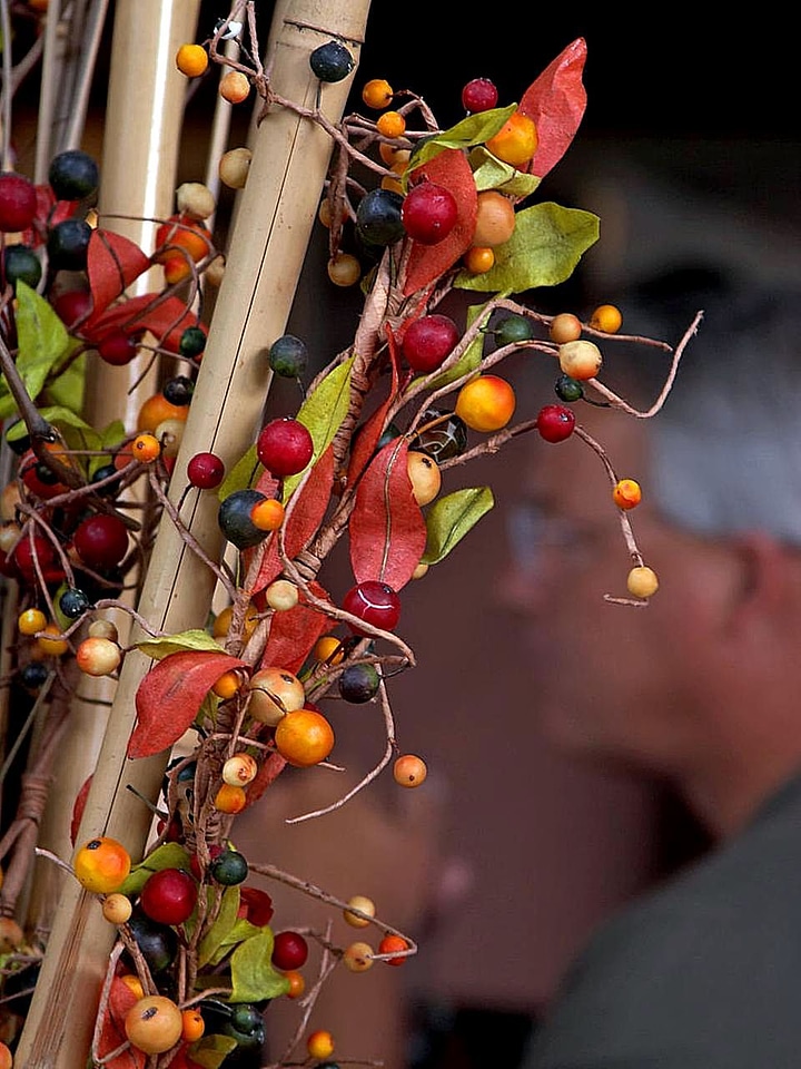 Berries  