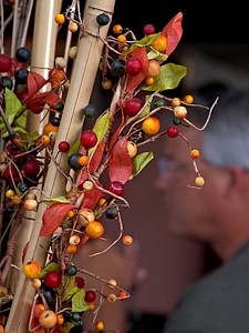 Berries  