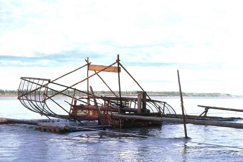 Fish water wheel