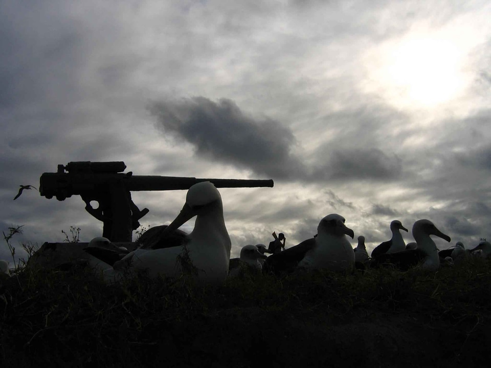 Battle Canon historic