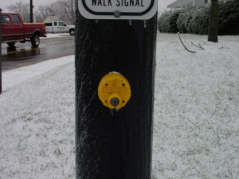 Crosswalk signal snow