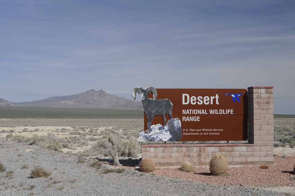 Desert domestic reservation