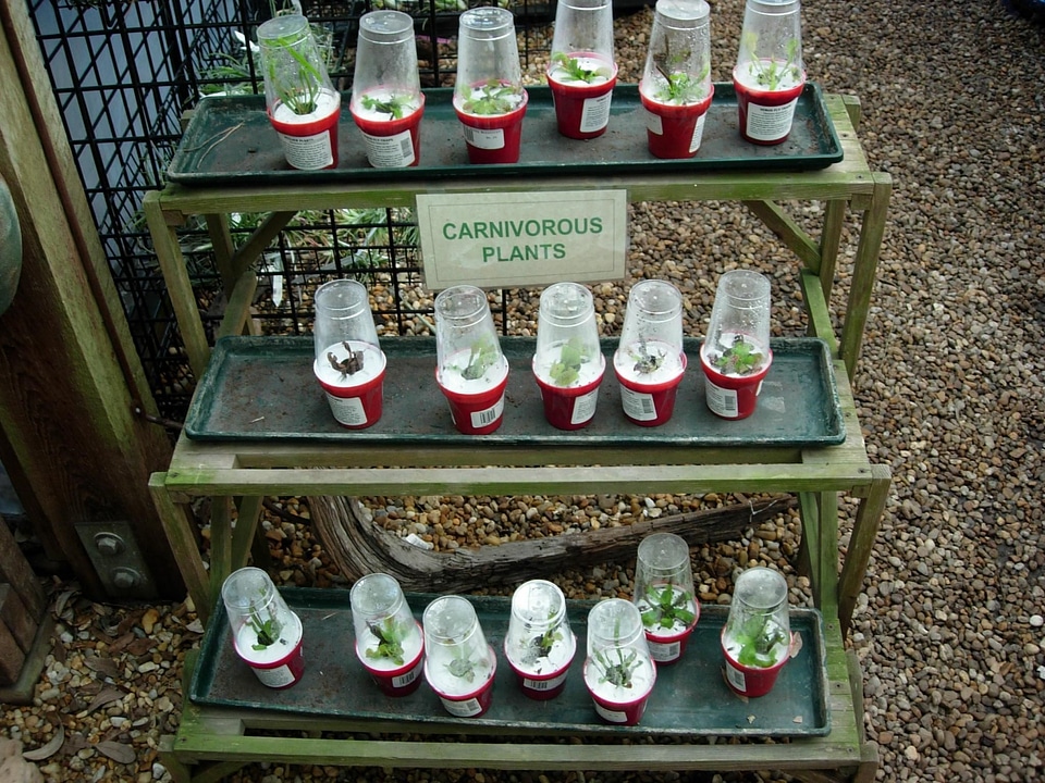 Crops monitor sale